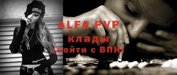 спиды Богородицк