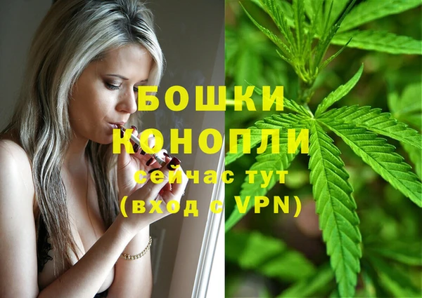 Альфа ПВП Богданович