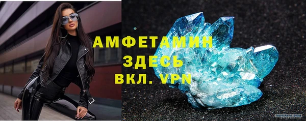 спиды Богородицк