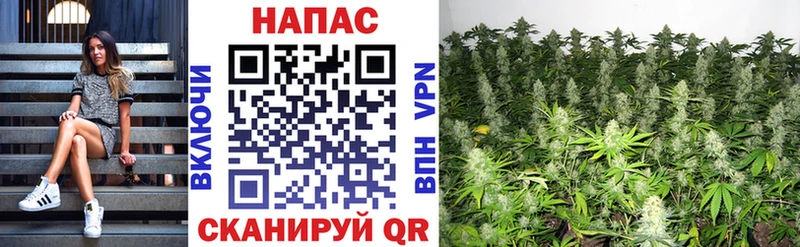 ОМГ ОМГ ТОР  как найти   Реутов  Бошки Шишки MAZAR 